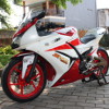 Elegant Sporty Ninja 250R